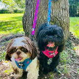 Power Peacock Step-In Adjustable Small Dog Harness XXS Pet Products