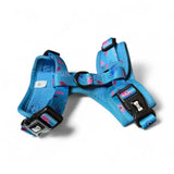 Blue small dog harness with pink purple peacock feather pattern black buckles and d-ring adjustable puppy harness