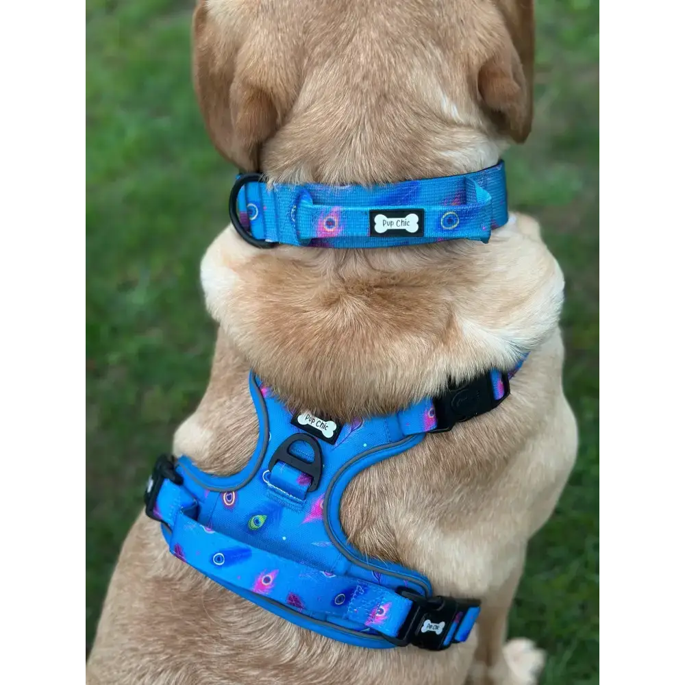 Power Peacock Tactical Dog Harness – No Pull & Fully Adjustable XS 