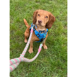 Power Peacock Tactical Dog Harness – No Pull & Fully Adjustable XS 