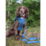 Power Peacock Tactical Dog Harness – No Pull & Fully Adjustable XS 