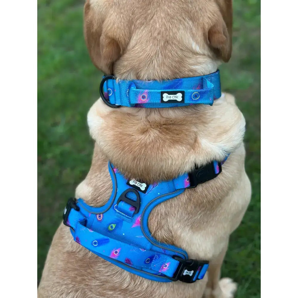 Blue patterned peacock power tactical dog harness with black hardware and matching collar fully adjustable no pull