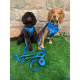 Blue patterned peacock power tactical dog harness with matching leash and poop bag dispenser fully adjustable and no pull