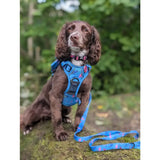 Blue patterned peacock power tactical dog harness with matching leash fully adjustable no pull design