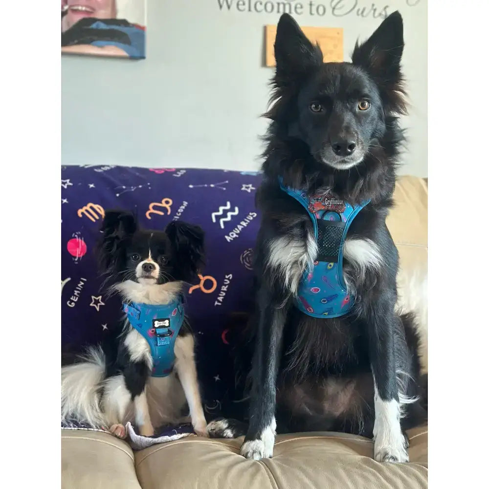 Blue patterned peacock power tactical dog harness showing fully adjustable no pull feature for active pups