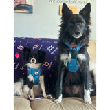 Blue patterned peacock power tactical dog harness showing fully adjustable no pull feature for active pups