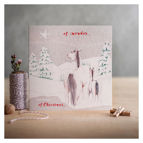 Deckled Edge Christmas Card  Wonder of Christmas Gift Cards Barnstaple Equestrian Supplies