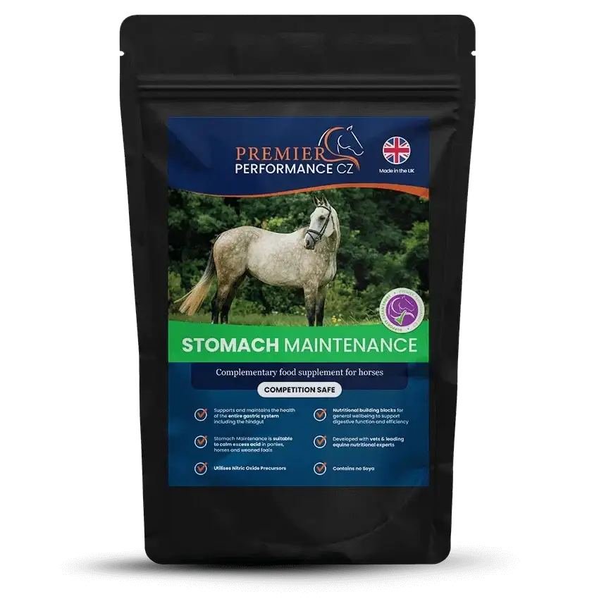 Premier Performance Stomach Maintenance 30 Servings Gut Balancers For Horses Barnstaple Equestrian Supplies