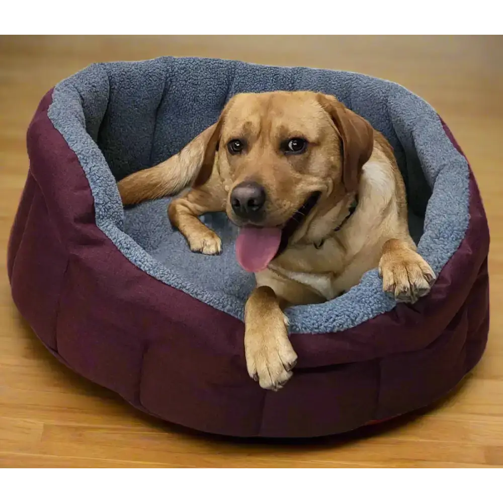 Premium Oval Bolster Style Heavy Duty Fleece Lined Machine Washable Dog Bed Intermediate L51cm X W41cm X H20cm Green with Mushroom Fleece Lining Dog Beds