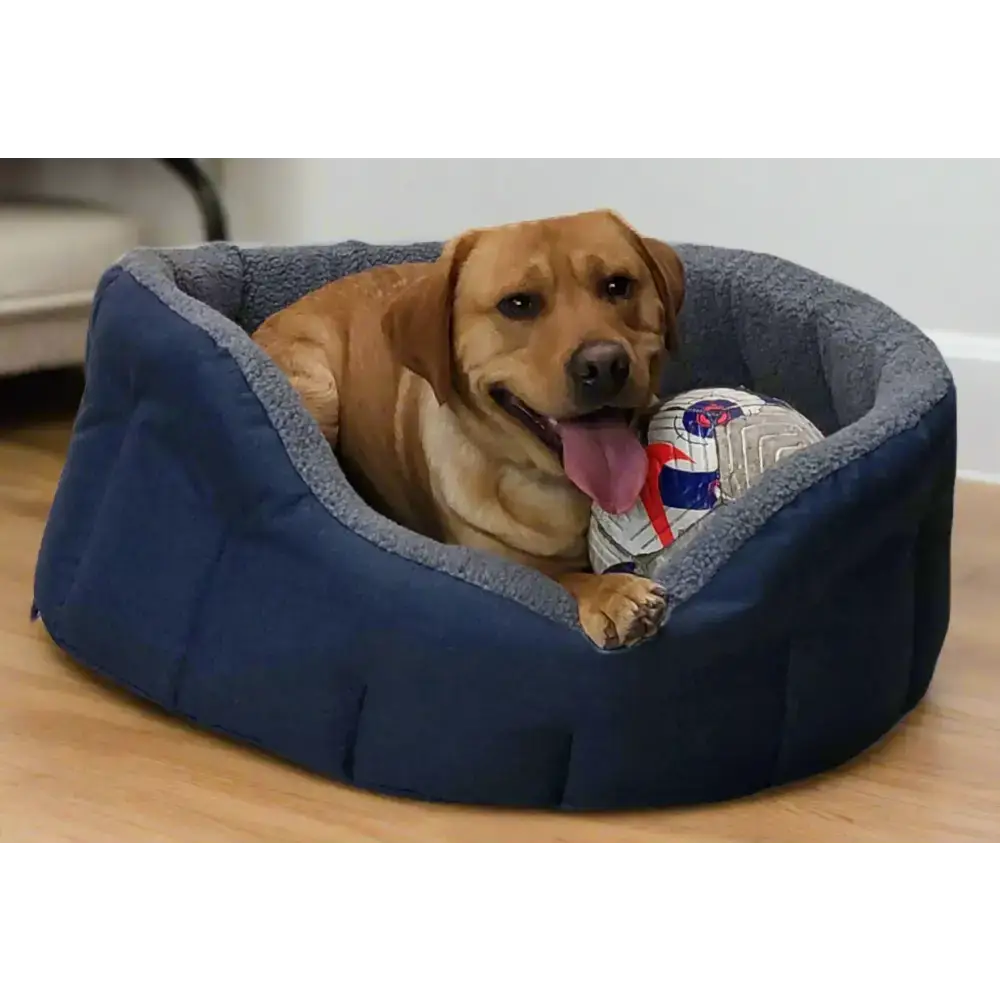 Premium Oval Bolster Style Heavy Duty Fleece Lined Machine Washable Dog Bed Intermediate L51cm X W41cm X H20cm Green with Mushroom Fleece Lining Dog Beds