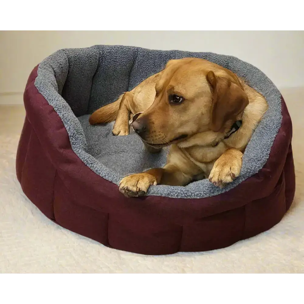 Premium Oval Bolster Style Heavy Duty Fleece Lined Machine Washable Dog Bed Intermediate L51cm X W41cm X H20cm Green with Mushroom Fleece Lining Dog Beds
