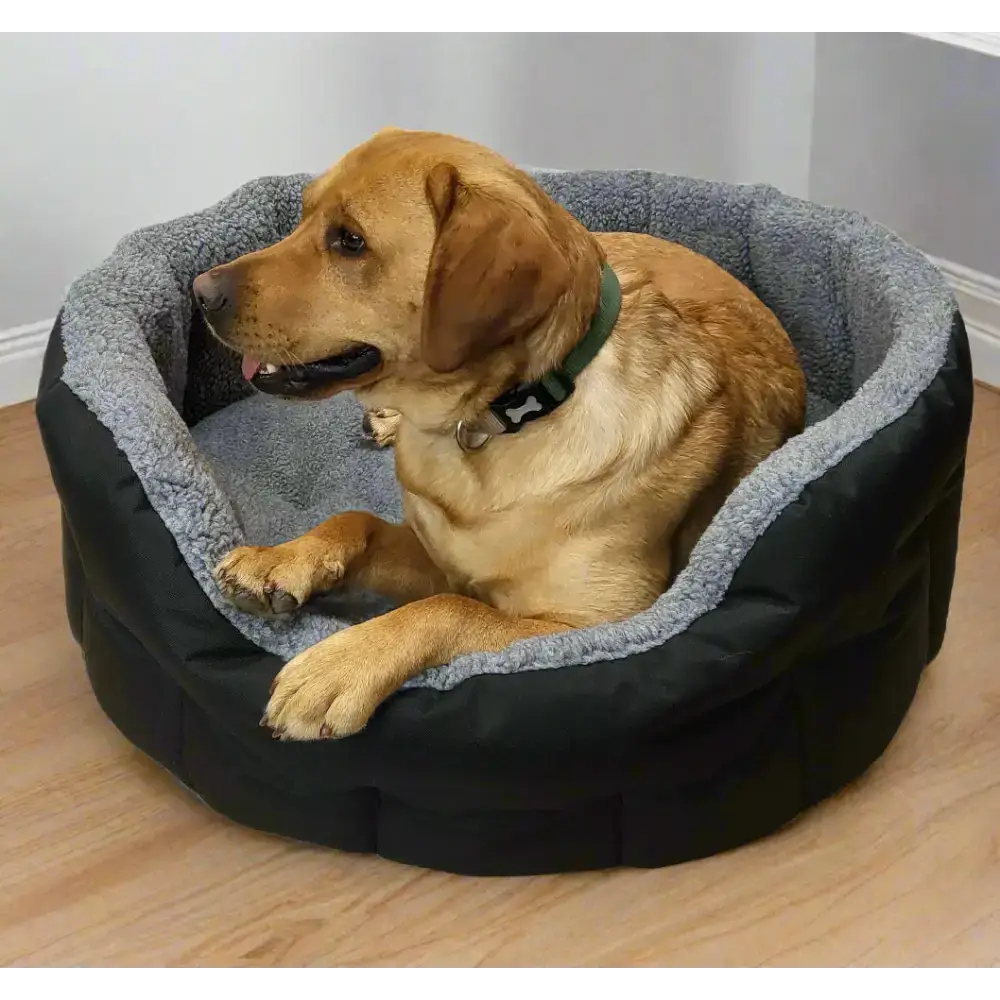 Premium Oval Bolster Style Heavy Duty Fleece Lined Machine Washable Dog Bed Intermediate L51cm X W41cm X H20cm Green with Mushroom Fleece Lining Dog Beds