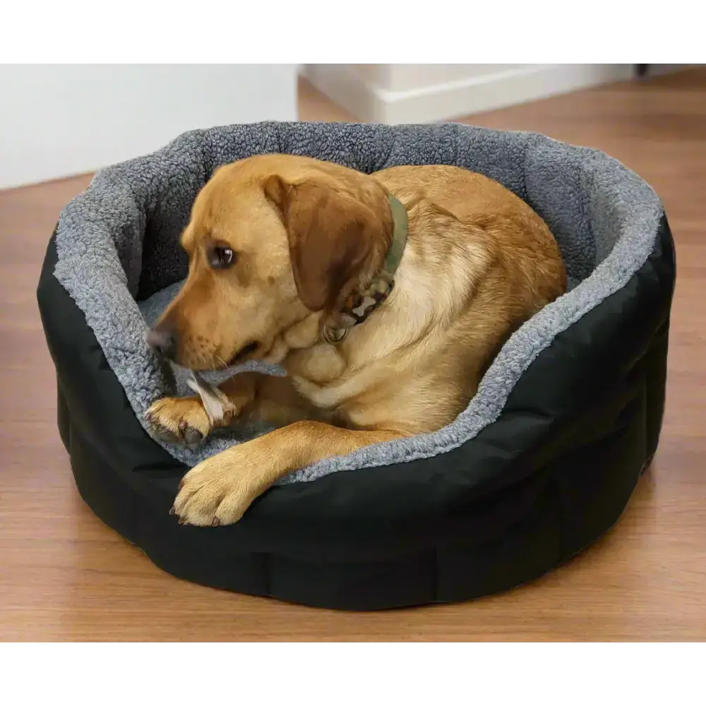 Premium Oval Bolster Style Heavy Duty Fleece Lined Machine Washable Dog Bed Intermediate L51cm X W41cm X H20cm Green with Mushroom Fleece Lining Dog Beds