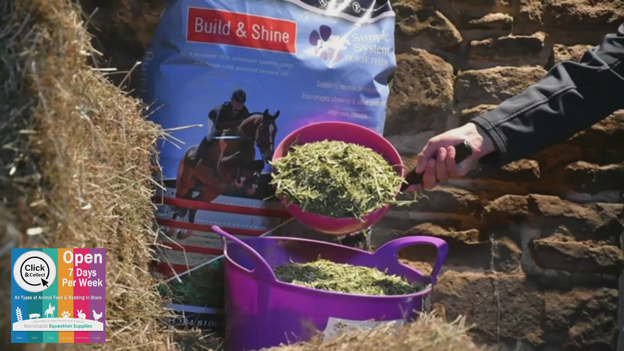 Simple System Horse Feeds Build and Shine Video