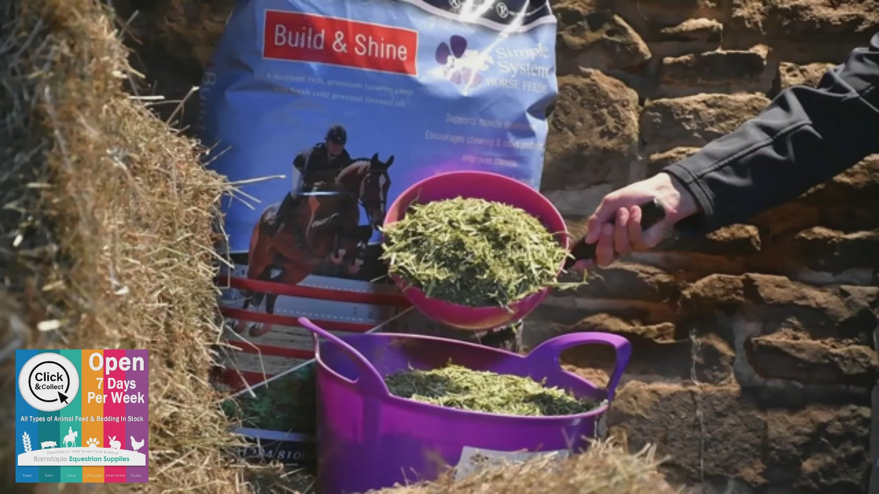 Simple System Horse Feeds Build and Shine Video