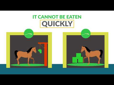 Silvermoor Swingers Bumper Pack