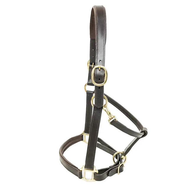 Brown leather primera padded leather headcollar havana with brass hardware for comfortable horse use