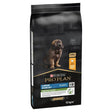 Black purina pro plan puppy food bag with brown puppy image labeled high protein chicken 12 kg for healthy start