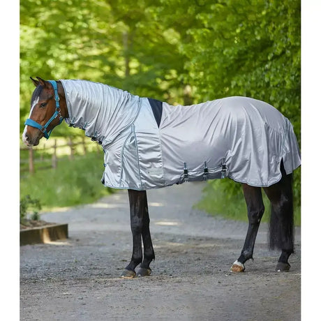 Silver reflective equestrian fly rug with black trim and adjustable straps to protect eczema fly use