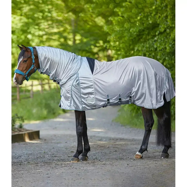 Silver reflective equestrian eczema fly rug with black trim and adjustable straps to protect eczema fly