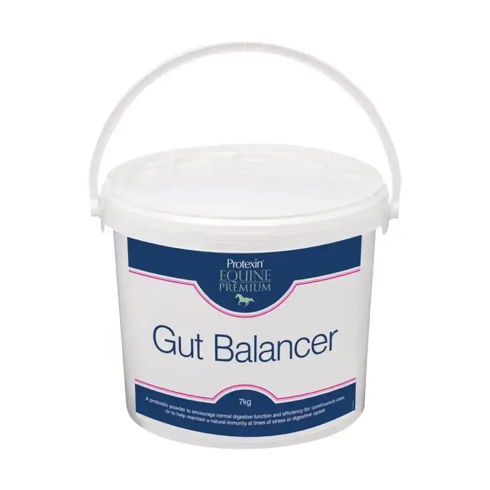 White plastic bucket with handle labeled protein equine premium gut balancer 7kg for protexin gut balancer digestive support