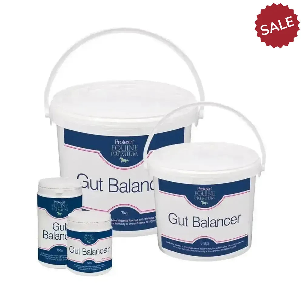Protexin Gut Balancer 400g Gut Balancers For Horses