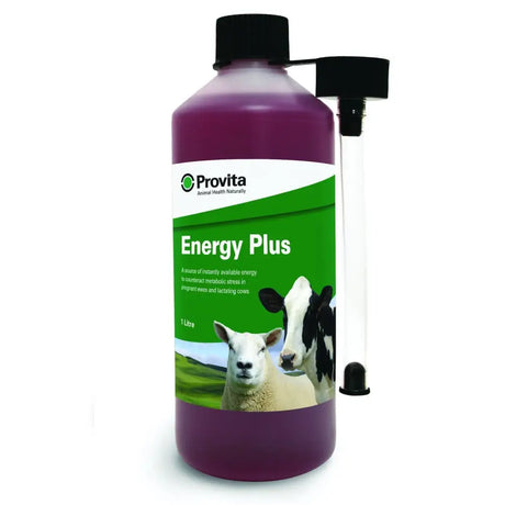 A 1-litre bottle of provita energy plus purple liquid nutritional supplement providing an energy source for livestock