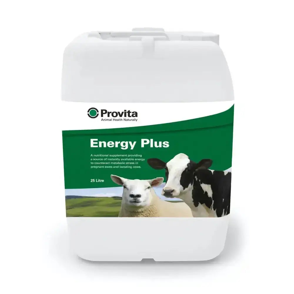 White plastic container with green label of provita energy plus nutritional supplement providing energy source for sheep and cow