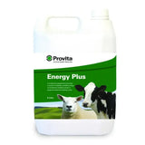 White plastic jug with green label showing cow and sheep branded provita energy plus nutritional supplement providing energy source