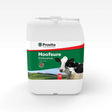 White plastic container of provita hoofsure endurance combining organic acids for maintaining hoof condition in livestock