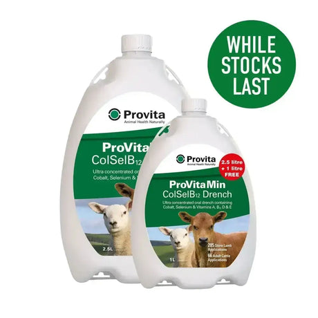 Two white plastic bottles of provita provitamin colselb12 ultra-concentrated oral drench in colselb12 promo pack with sheep and cattle images