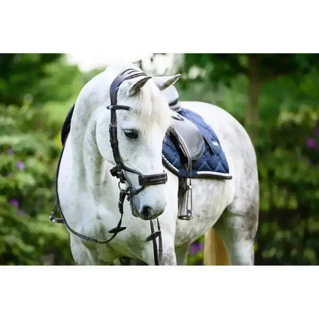 A white horse wearing a sweden high jump anatomical bridle with black noseband and navy blue quilted saddle pad