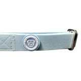 Puppy PVC BTactical™ Collar | Pastel Blue Xsmall Dog Collar