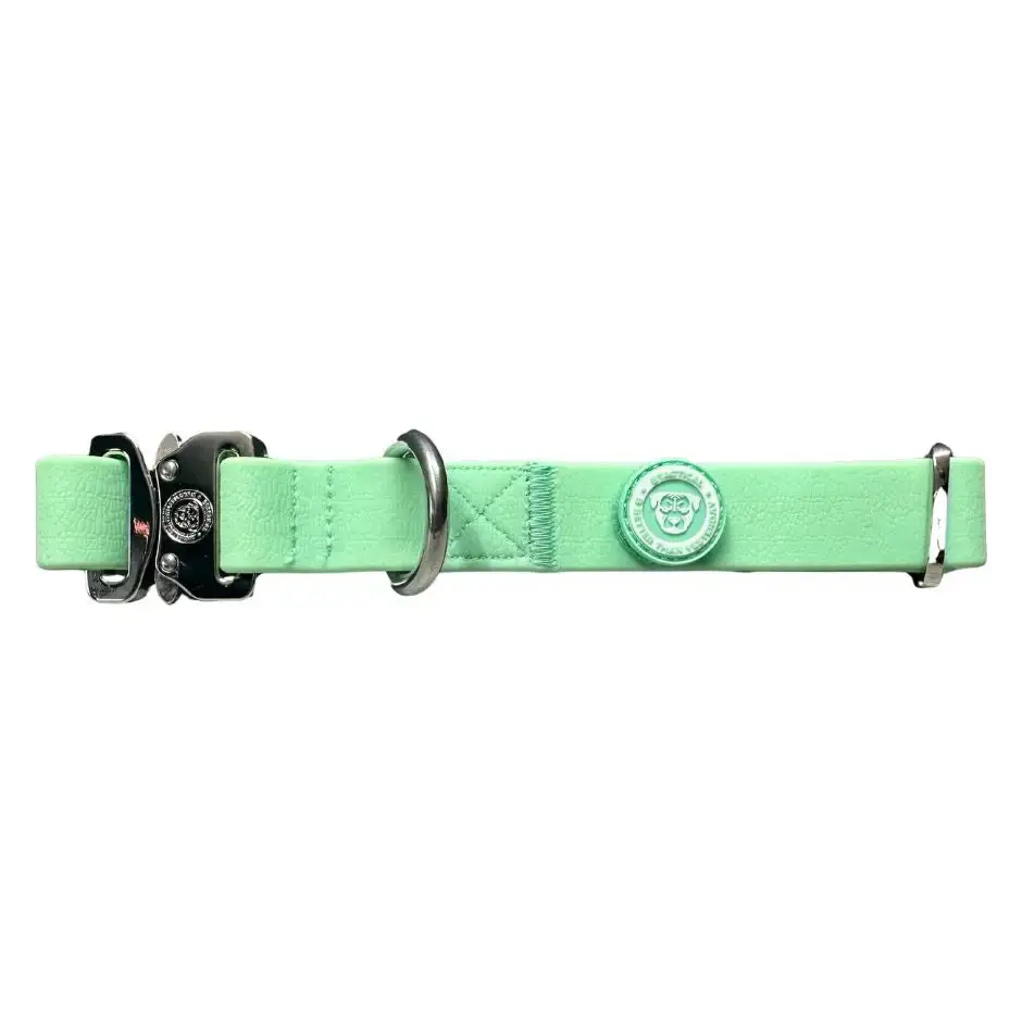 Puppy PVC BTactical™ Collar | Pastel Green XSmall Dog Collar