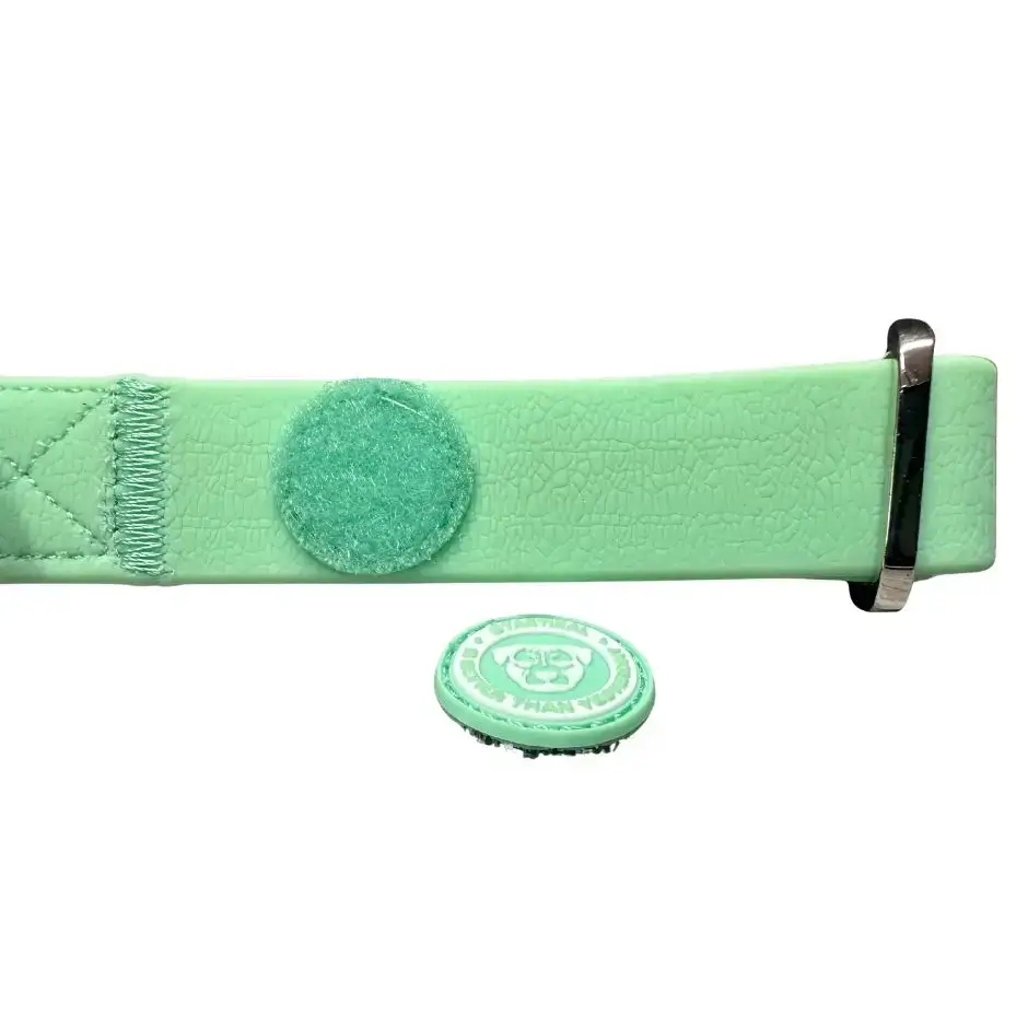 Puppy PVC BTactical™ Collar | Pastel Green XSmall Dog Collar