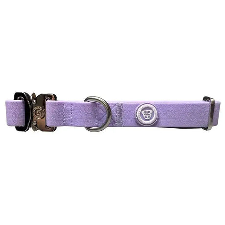 Lavender-colored puppy pvc btactical durable dog collar with textured surface silver metal buckle and d-ring hardware pastel purple