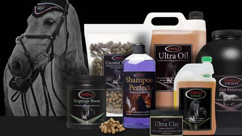 Purple bottle of omega shampoo perfect with lavender oil