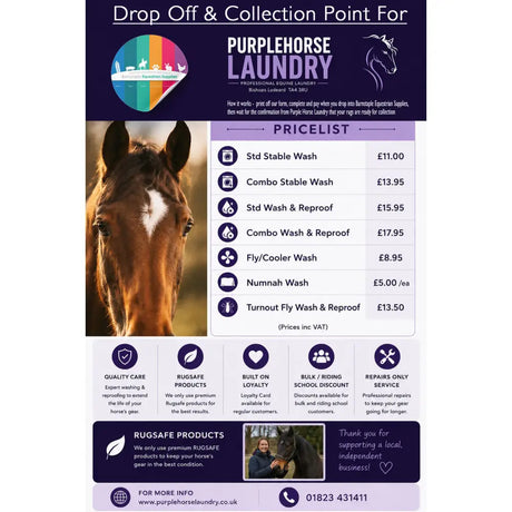 A close-up of a brown horse with a white blaze and alert ears for the purple horse laundry rug cleaning product image