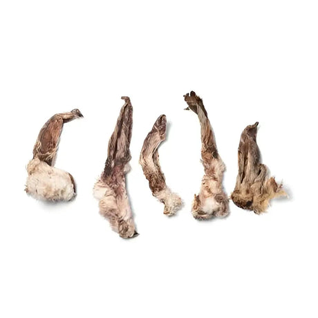 Five dried brownish gray rabbit ears mushroom caps with rough texture for equestrian use with horses