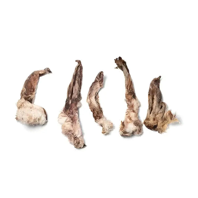 Five dried brownish gray rabbit ears mushroom caps with rough texture for equestrian use with horses