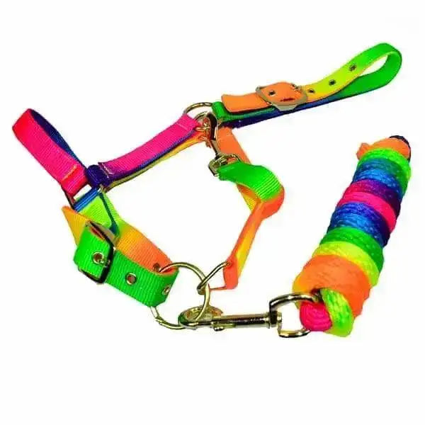 Rainbow Headcollar Set Elite Sheldon Cob Headcollars & Leadropes Barnstaple Equestrian Supplies