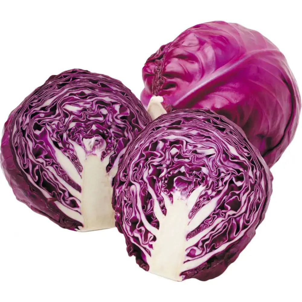 Two vibrant purple red cabbage halves showing layered leaves and a crisp white core perfect for equestrian meals