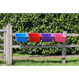Four brightly colored plastic gorilla plas manger feed troughs in blue red purple and pink mounted on a wooden fence
