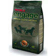 Red Mills Engage Salmon & Rice 3 kg Dog Food