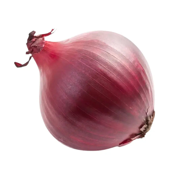 A fresh red onion with glossy layered skin and a dark purple stem perfect for your red onion needs