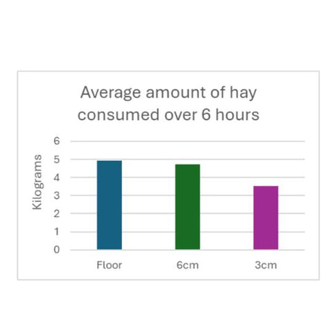 Table of Average Amount of Hay consumed Over 6 Hours