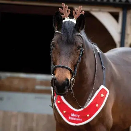 Reindeer Antler Bridle Accessory Novelty Riding Hat Covers Barnstaple Equestrian Supplies