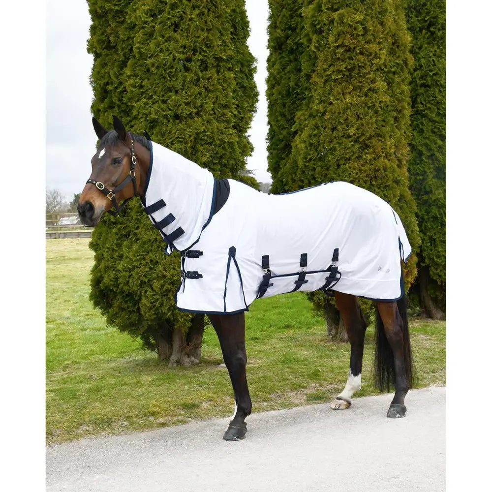 White horse blanket with black trim and adjustable straps in rhinegold africa combo fly rug design