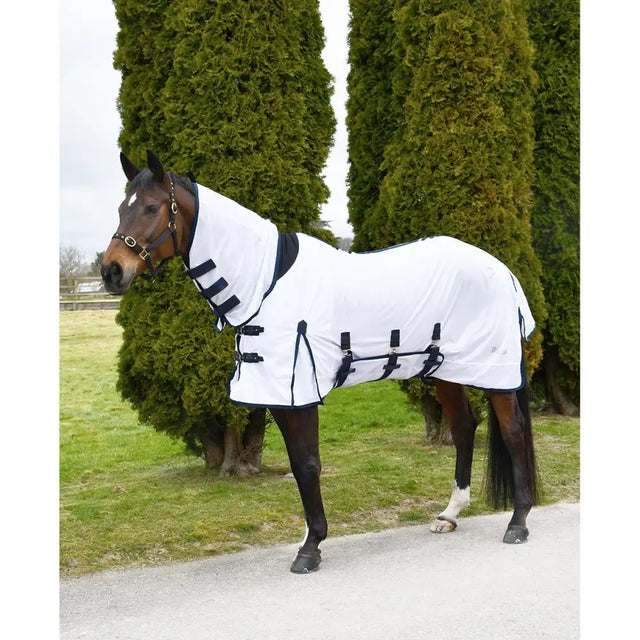 White horse blanket with black trim and adjustable straps in rhinegold africa combo fly rug design
