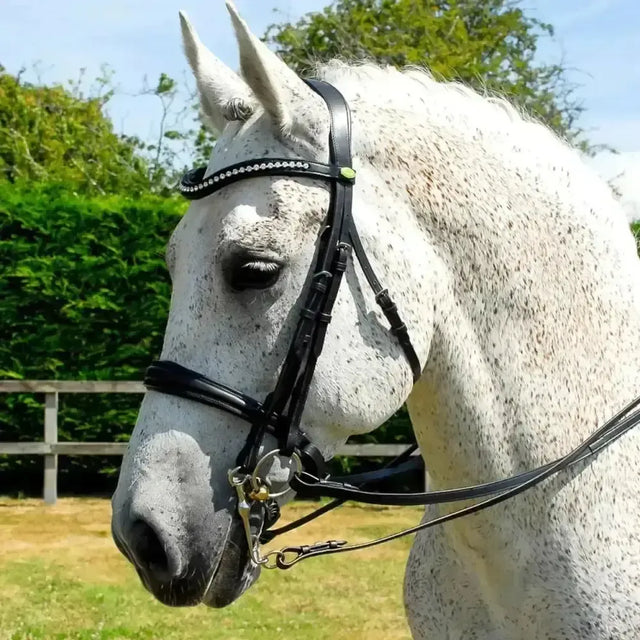 Rhinegold Anatomic Double Bridle With Crank Style Noseband Black Cob Bridles